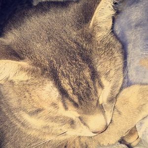 Meet your Posher, Allyson